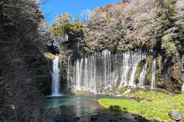 The Best Mt.Fuji area Tour from Shimizu Port / Van Taxi