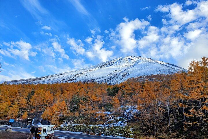 2 Days Private Tour: Tokyo / Mt Fuji and Hakone