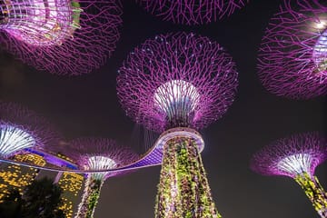 Singapore Gardens by the Bay Admission Skip-The-Line E-Ticket