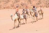 ATV Quad bike Adventure Tour With Camel Ride From Sharm El Sheikh 2