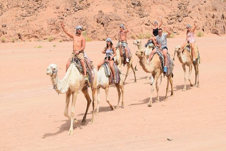 ATV Quad bike Adventure Tour With Camel Ride From Sharm El Sheikh 2