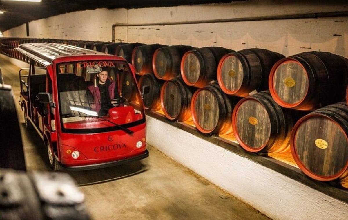CRICOVA Winery tour with tasting from Chisinau
