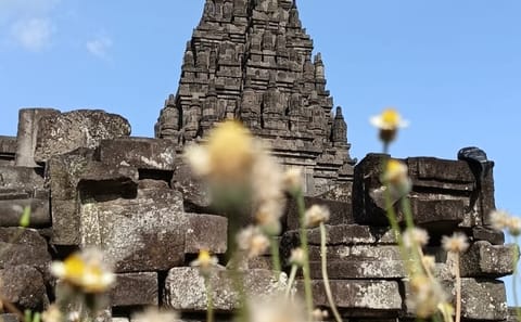 Explore Jakarta and Bandung: 7-Day Cultural and Adventure Tour