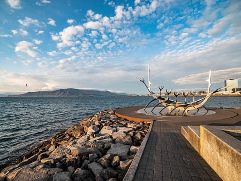 Reykjavik Sightseeing Private Tour, photo 3