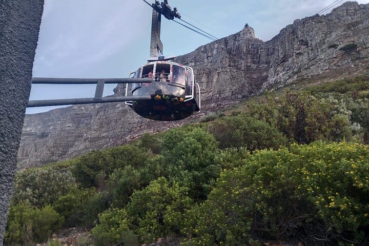 Pre-Booked Ticket Robben Island and Table Mountain Private Tours