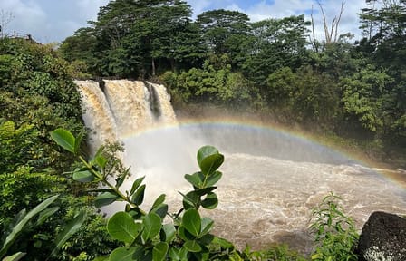 Private Big Island: Volcano, Waterfalls & Coffee Full-Day Tour