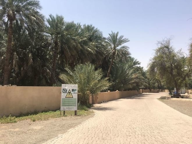 Al Ain Private City Tour With Lunch At The Top Of Jabel Hafeet Mountain  9