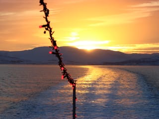 Akureyri Classic Whales in the Midnight Sun, photo 14