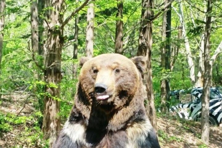 Autumn 10 days Jeonju&Mt.Naejangsan&Mt.Seorak&Mungyeong&Jeju&Busan on Early Nov