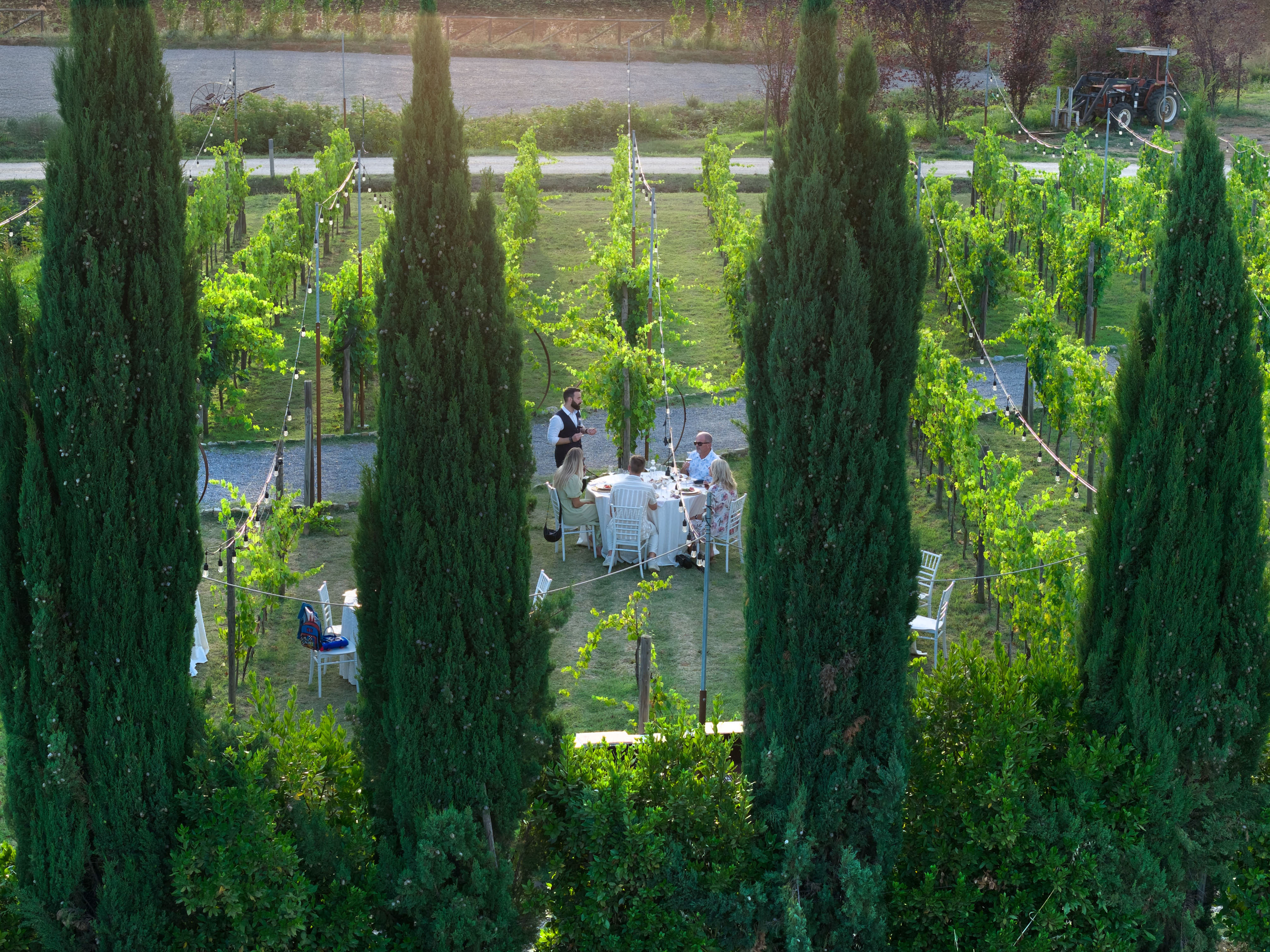 Tuscan Vineyard Dinner with Wine Tasting