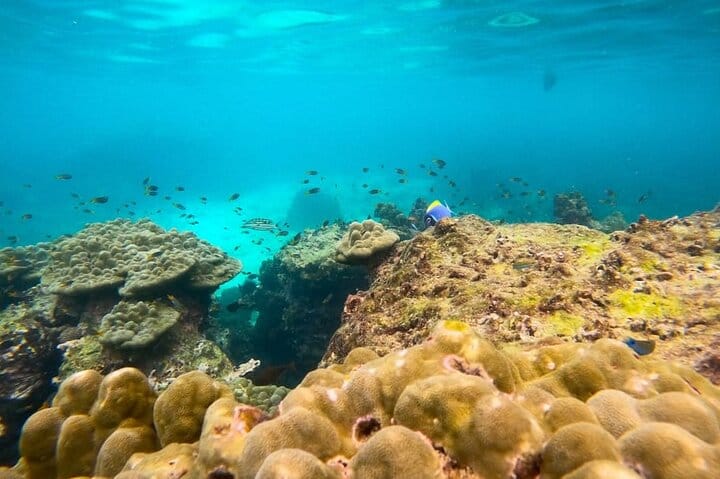 Phi Phi Island Exploration by Private Longtail Boat & Lunch 9