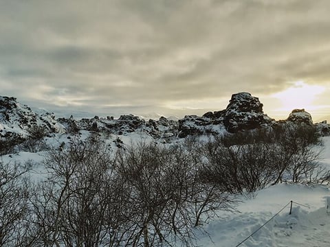 Lake Myvatn - Winter
