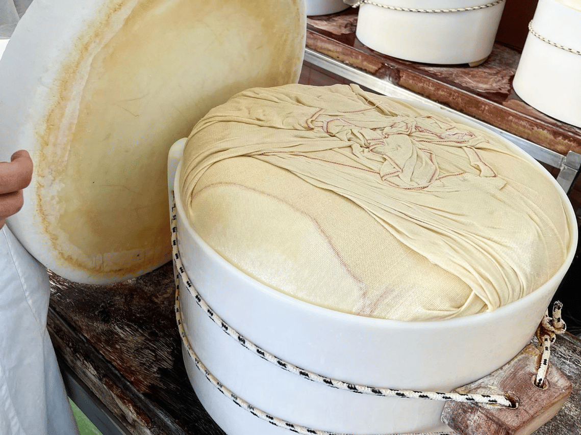 Parmesan Cheese Tour & Tasting in Modena 6
