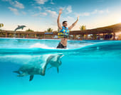 Playa del Carmen Maroma - Dolphin Royal Connection 1