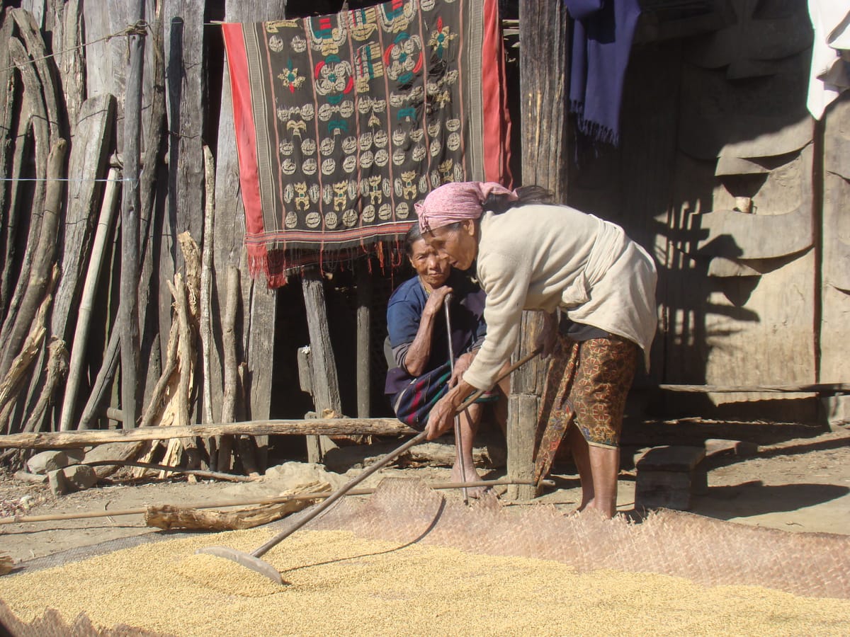 Assam Adventure: From National Parks to River Islands