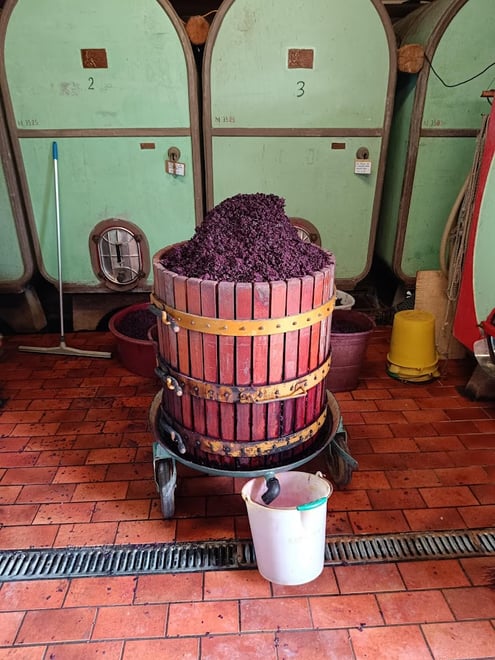 Val d'Orcia Region Private Wine Tasting Tour - Photo 2