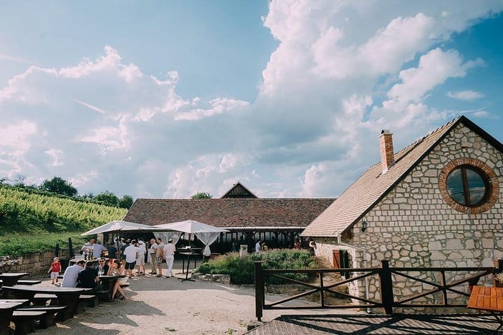 Private Etyek Wine tour with dinner including a Budapest Danube Evening Cruise 6