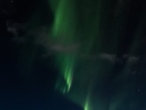 Northern Lights by Boat, photo 5