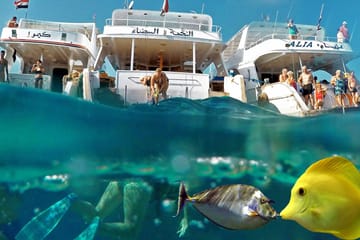 Snorkeling Adventure at Sharm El Naga Bay from Hurghada