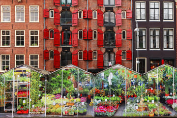 Amsterdam Audio Guided Walking Tour with 21 Commentaries