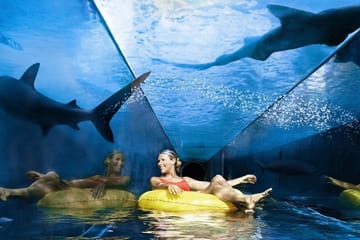 Romantic 8-Day Luxury Tour of Dubai and Abu Dhabi