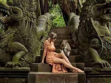 monkey forest