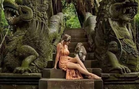 Private Cultural Tour of Ubud and Sacred Monkey Forest