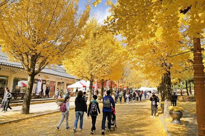 Autumn 10 days Jeonju&Mt.Naejangsan&Mt.Seorak&Mungyeong&Jeju&Busan on Early Nov