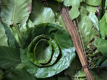 Leaf Plate Making Workshop in Kathmandu, Nepal