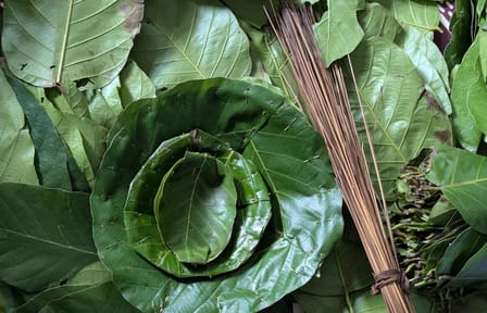 Leaf Plate Making Workshop in Kathmandu, Nepal