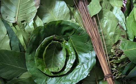 Leaf Plate Making Workshop in Kathmandu, Nepal