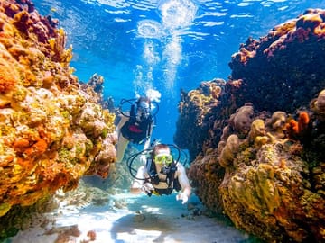 sharm el sheikh safari trip