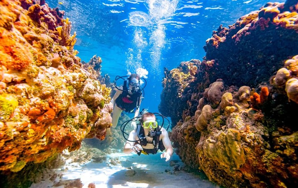 Snorkeling and Diving Tour at Ras Mohamed from Sharm El Sheikh