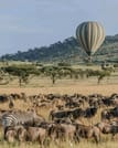 4-Day Tanzania Group Safari Tarangire, Serengeti & Ngorongoro Crater – The Ultimate Shared Safari Adventure 8