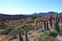 Teide National Park
