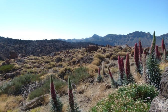 Teide National Park