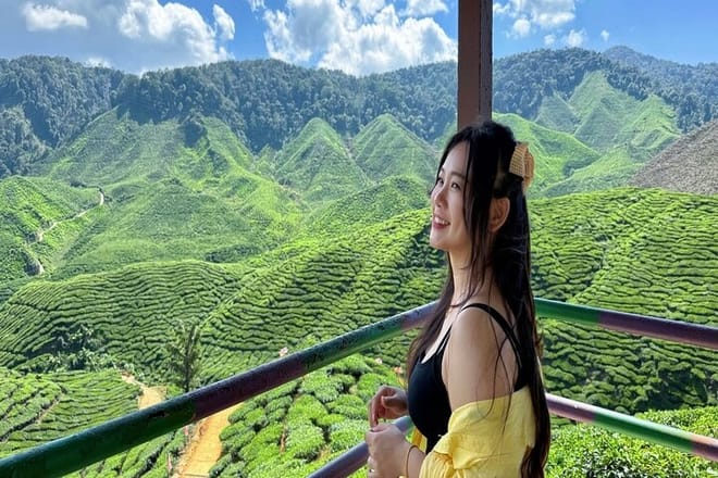 Cameron Highlands with Lunch Guided Day Tour (SIC/Shared Tour) 2