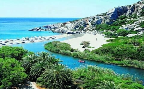 Full-Day Tour to Preveli Palm Beach from Rethimno