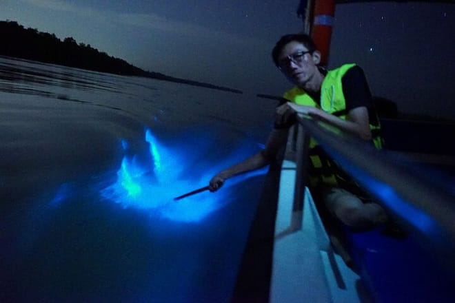 Kuala Selangor Fireflies & Blue Tears Guided Tour w Dinner (SIC) photo 3