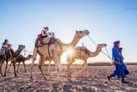 ½ Day : Ali BaBa's Camel Ride in Agafay Desert | Private & Luxury 8