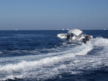 Speed Boat Tour to Snorkel with Dolphins in Hurghada