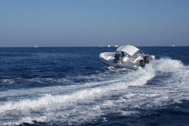speed boat to dolphin