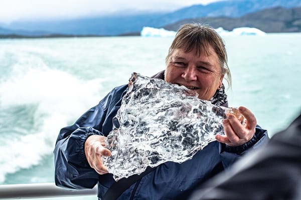 All Glaciers Navigation from El Calafate