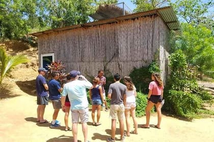 Cruise Ship Family Chocolate Factory, Sloths & Monkeys, Beach