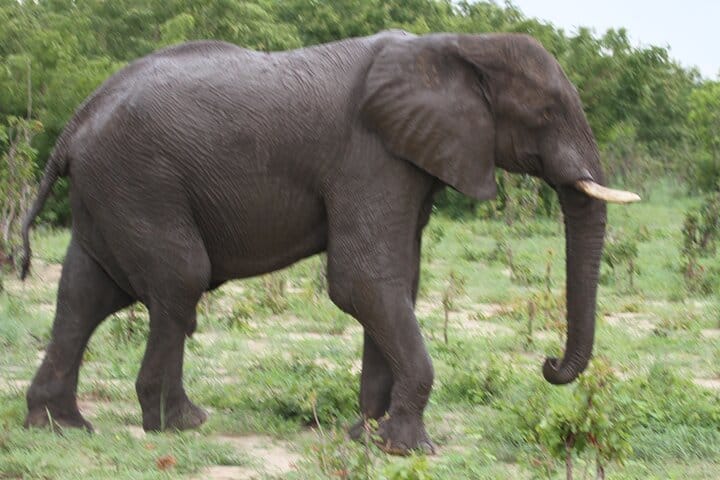 15 minutes scenic helicopter flight above Victoria Falls-Zimbabwe