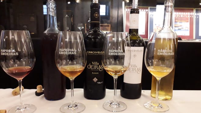 Carcavelos Wine Taste