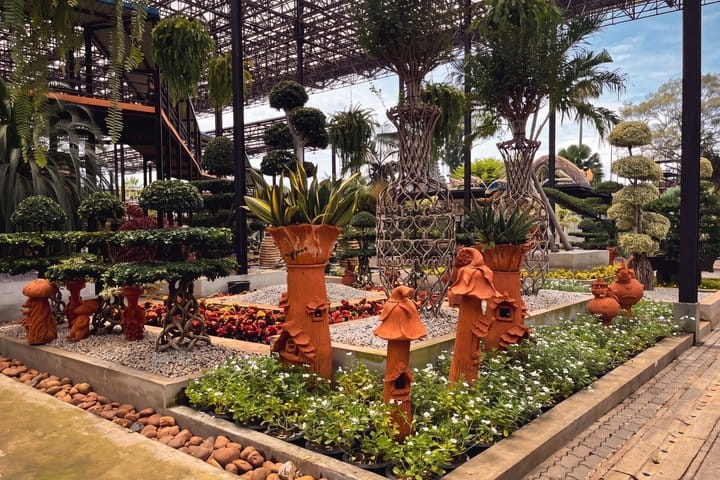 Private Nong Nooch VIP Tour Skywalk Dinosaurs and with Lunch 6