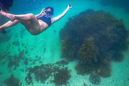 Snorkeling To Discover Sydney’s Underwater Wonders