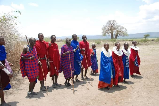A line of Maasai men and women wearing bright red, blue, and patterned traditional shúkà outdoors with a baobab tree in the background.