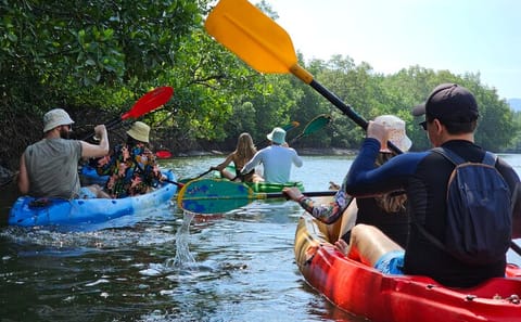 Kayaking or Longtail Boat Tour of Ko Lanta Yai Mangroves